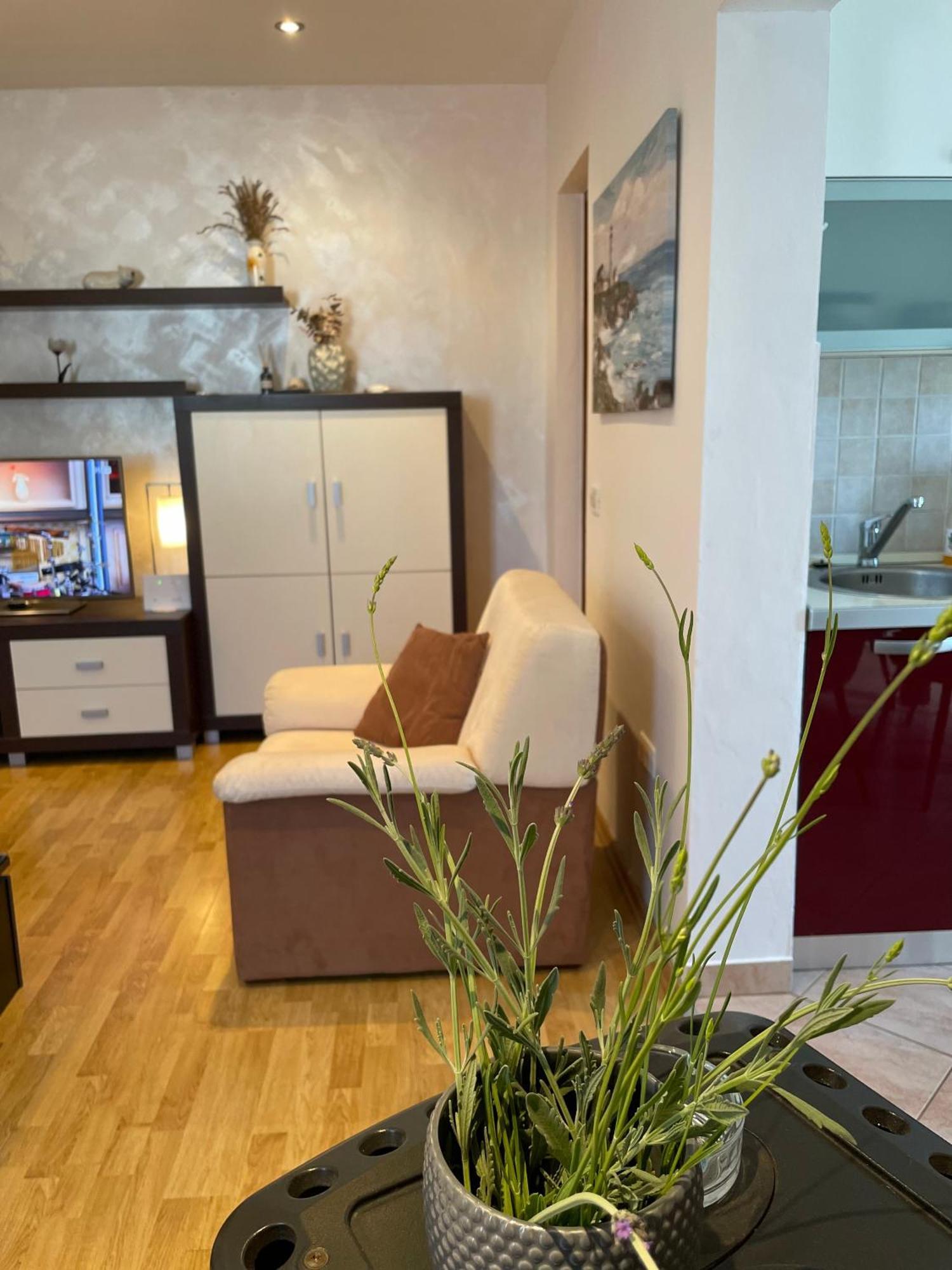 Denis Apartment Ждрелаць Екстер'єр фото